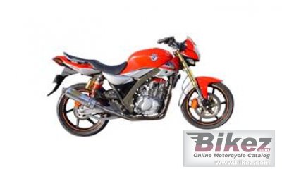 2011 Tiger Boxer 250 RS photo
